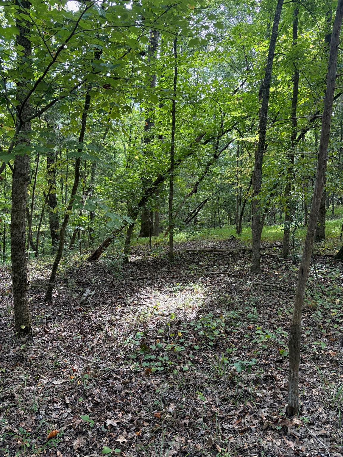 3485 Cedar Circle Road Property Photo 29