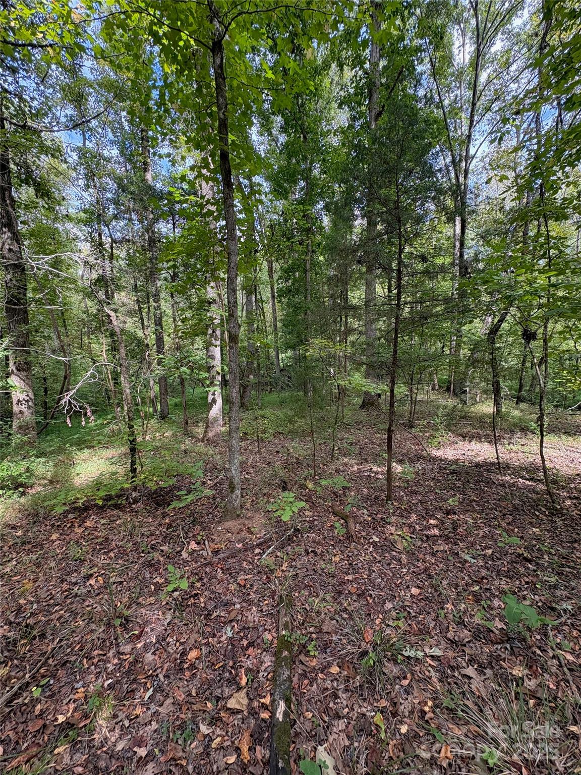 3485 Cedar Circle Road Property Photo 30