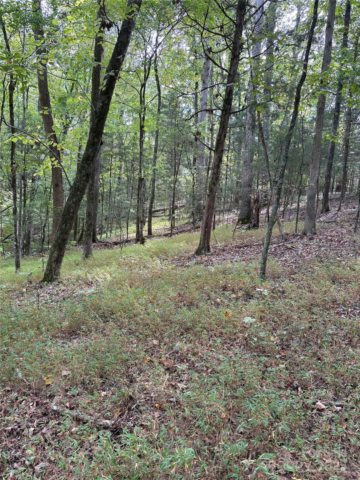 3485 Cedar Circle Road Property Photo 31