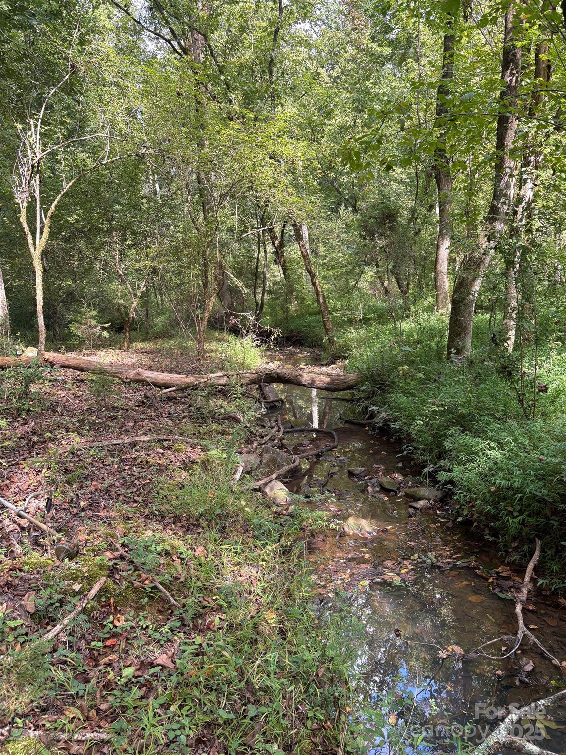 3485 Cedar Circle Road Property Photo 34