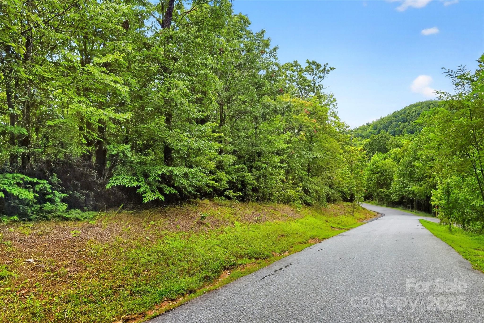 1696 Catawba Falls Parkway 190 Property Photo 2