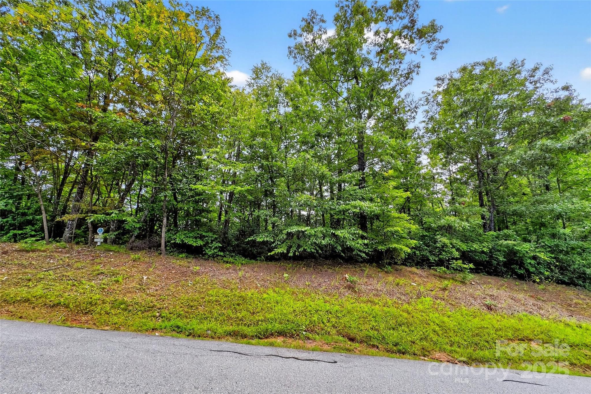 1696 Catawba Falls Parkway 190 Property Photo 3