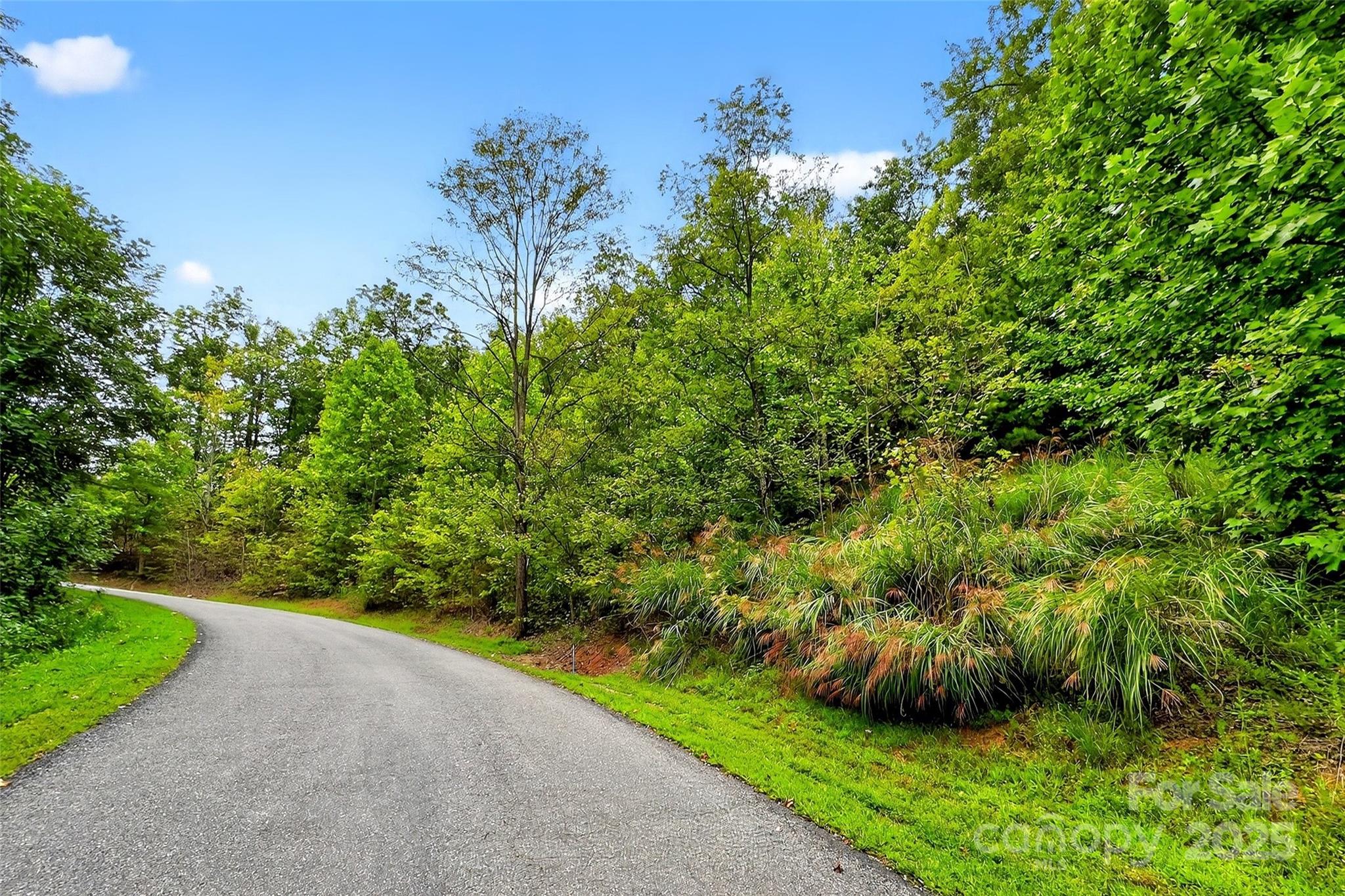 1696 Catawba Falls Parkway 190 Property Photo 5