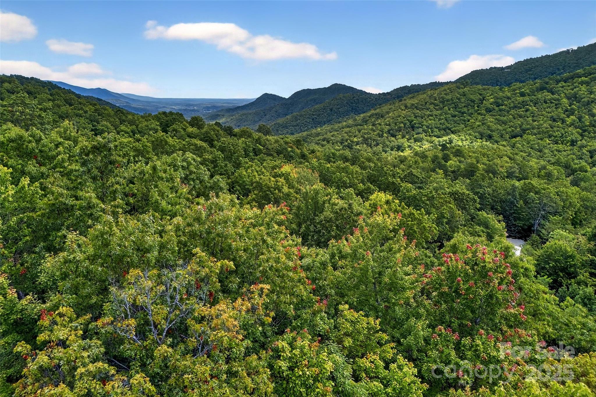 1696 Catawba Falls Parkway 190 Property Photo 6