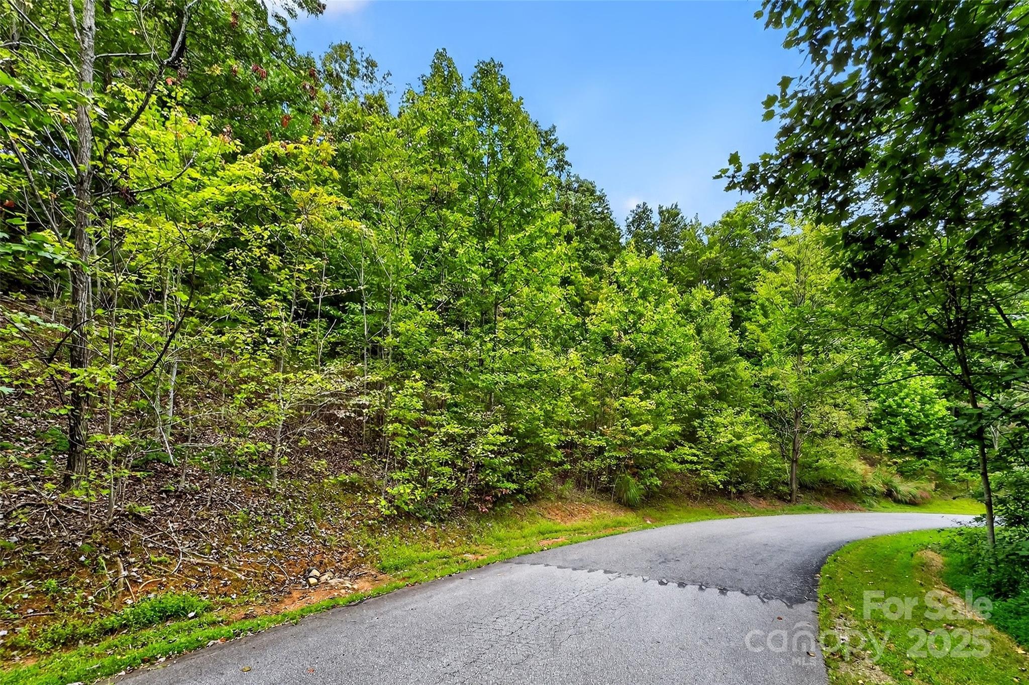 1696 Catawba Falls Parkway 190 Property Photo 7