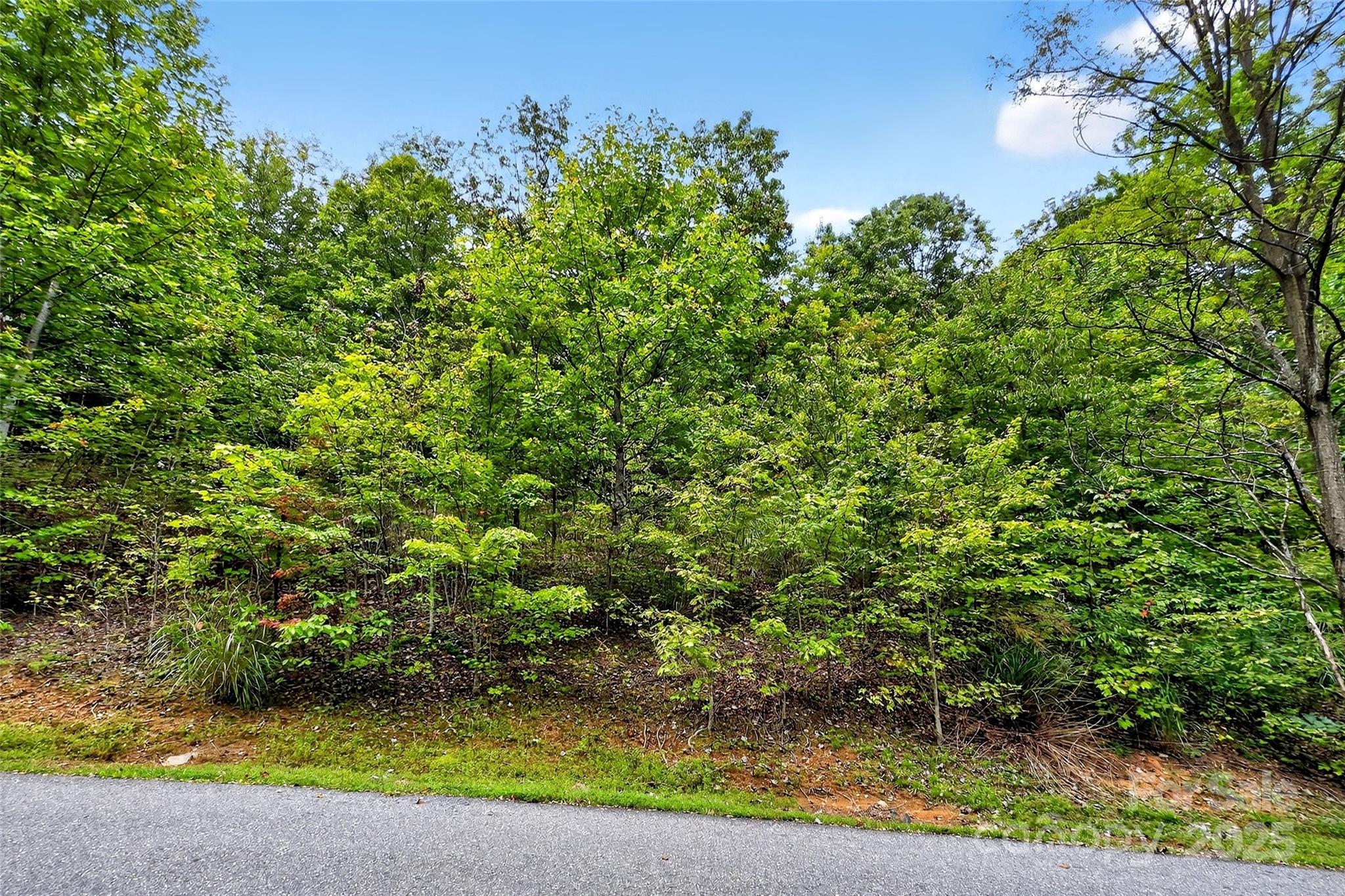 1696 Catawba Falls Parkway 190 Property Photo 8