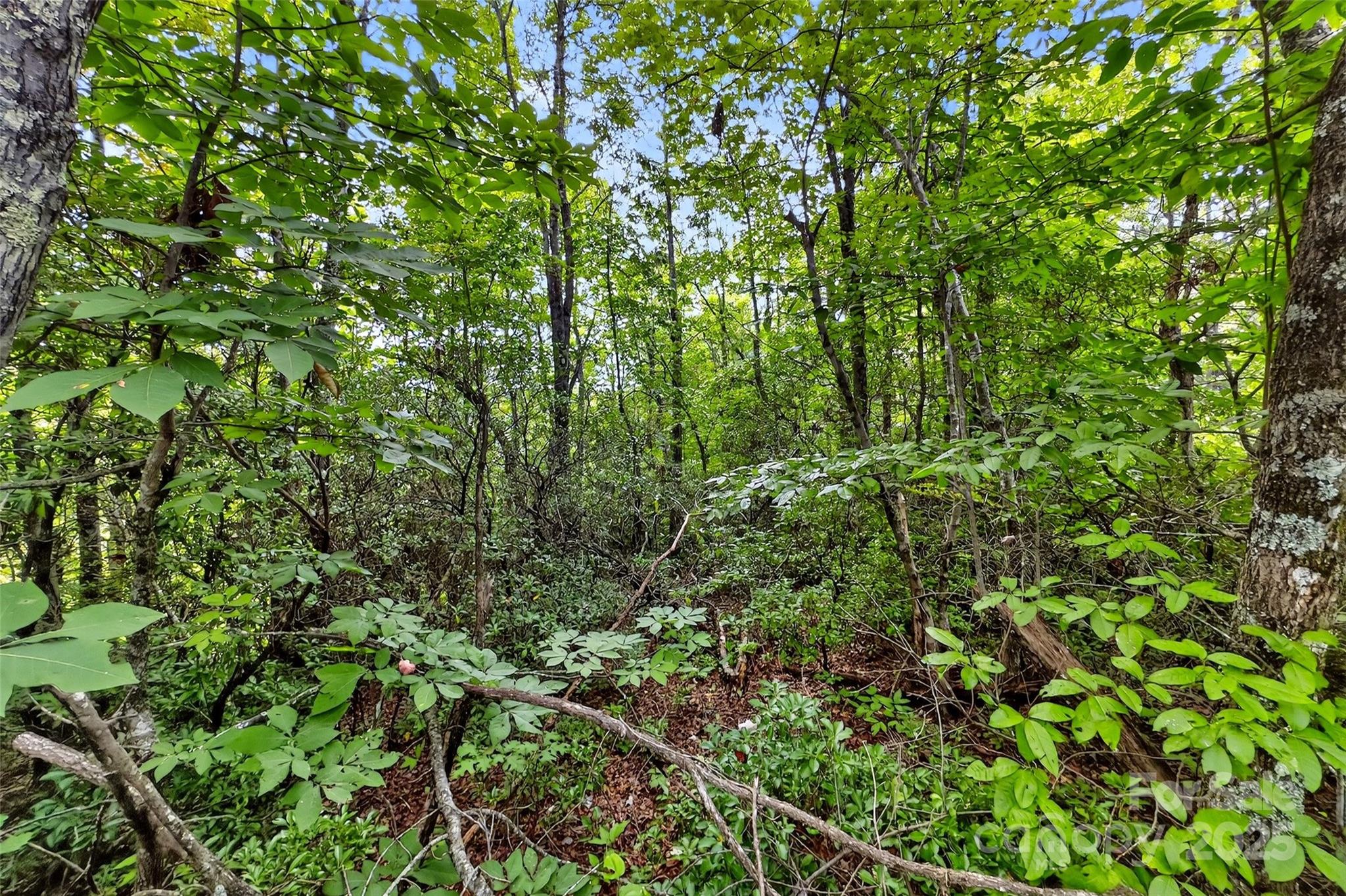 1696 Catawba Falls Parkway 190 Property Photo 11