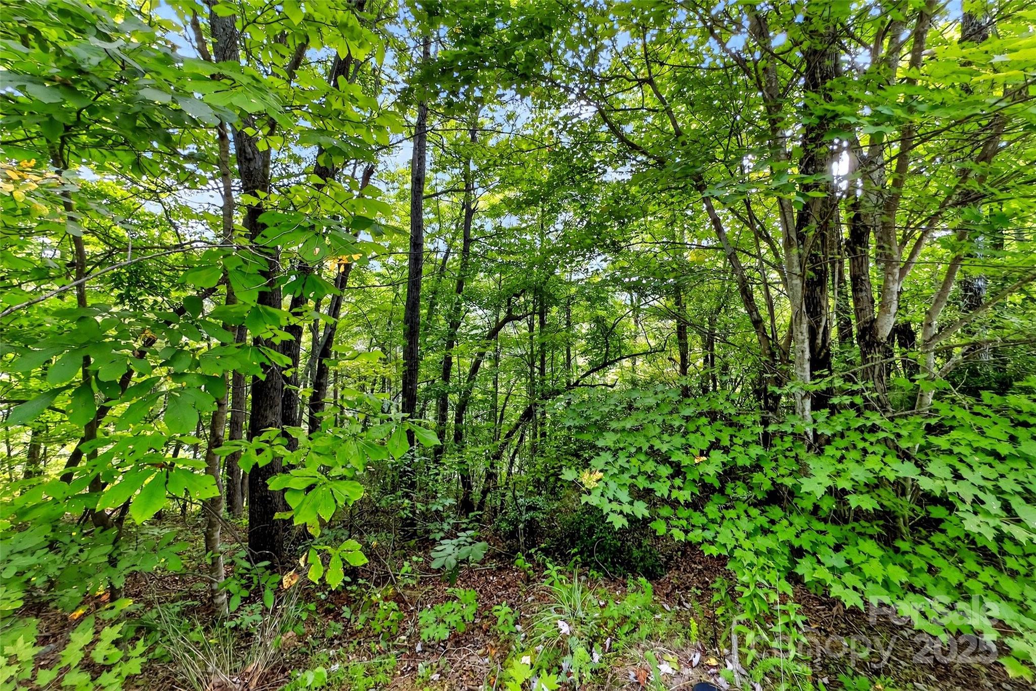 1696 Catawba Falls Parkway 190 Property Photo 12