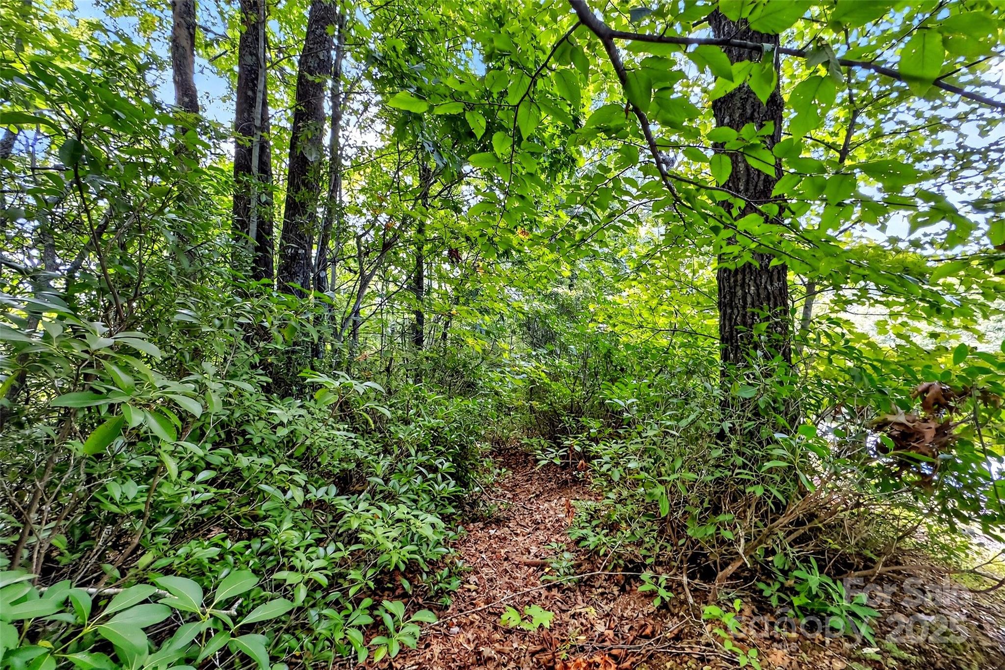 1696 Catawba Falls Parkway 190 Property Photo 13