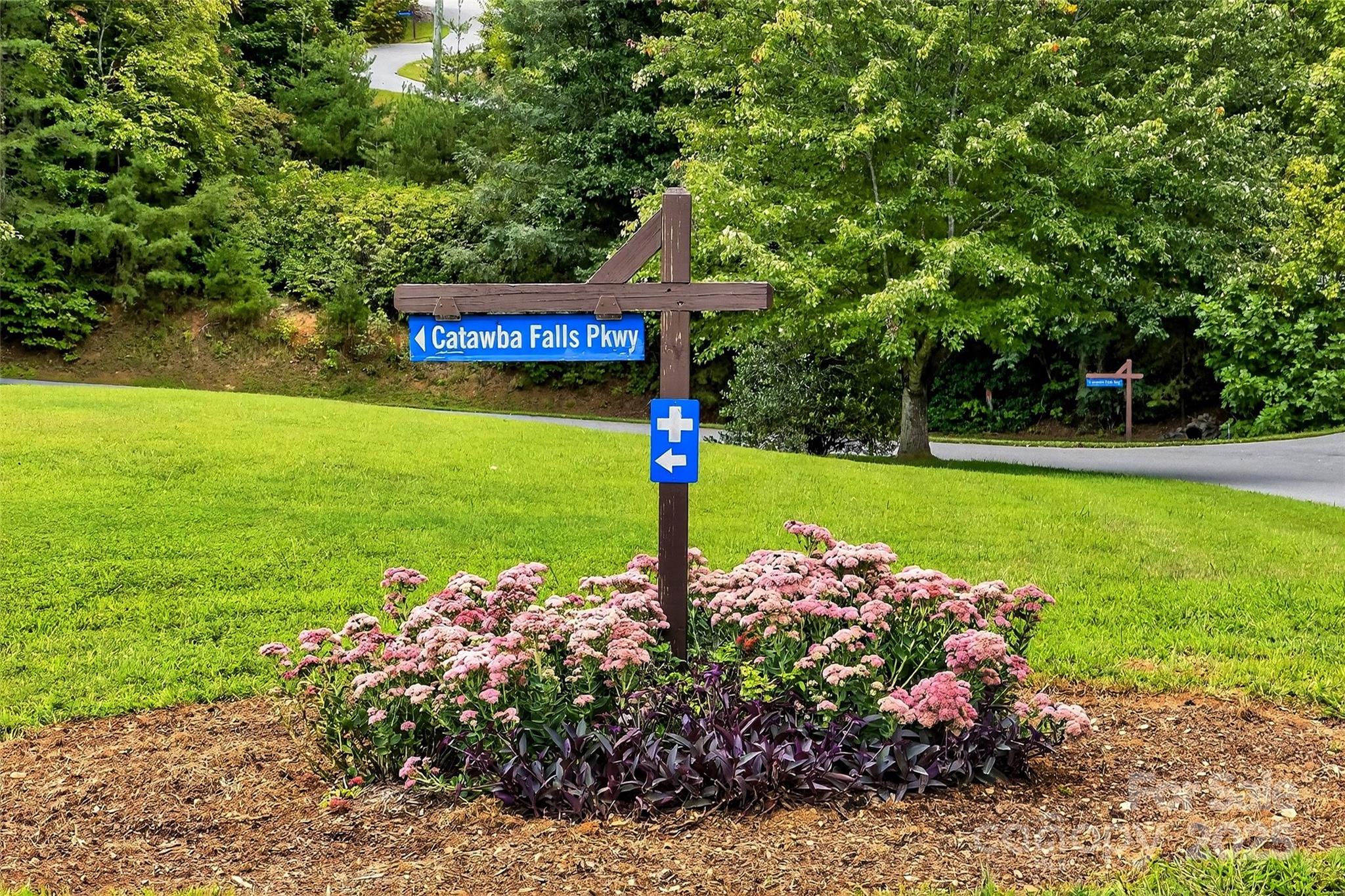 1696 Catawba Falls Parkway 190 Property Photo 23