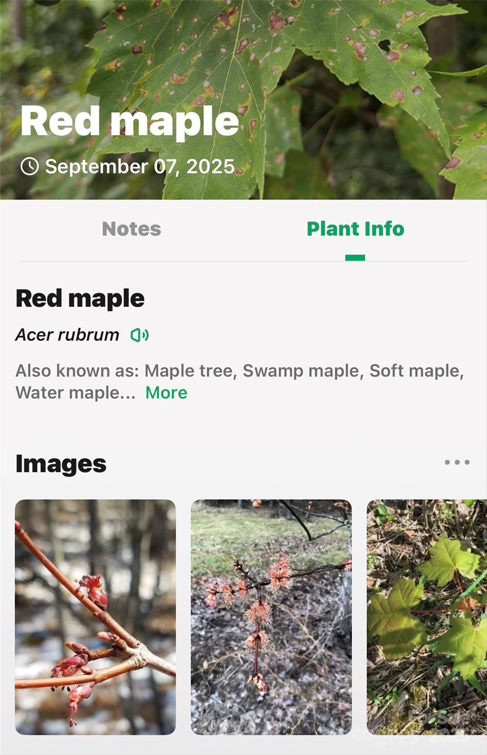 1696 Catawba Falls Parkway 190 Property Photo 26