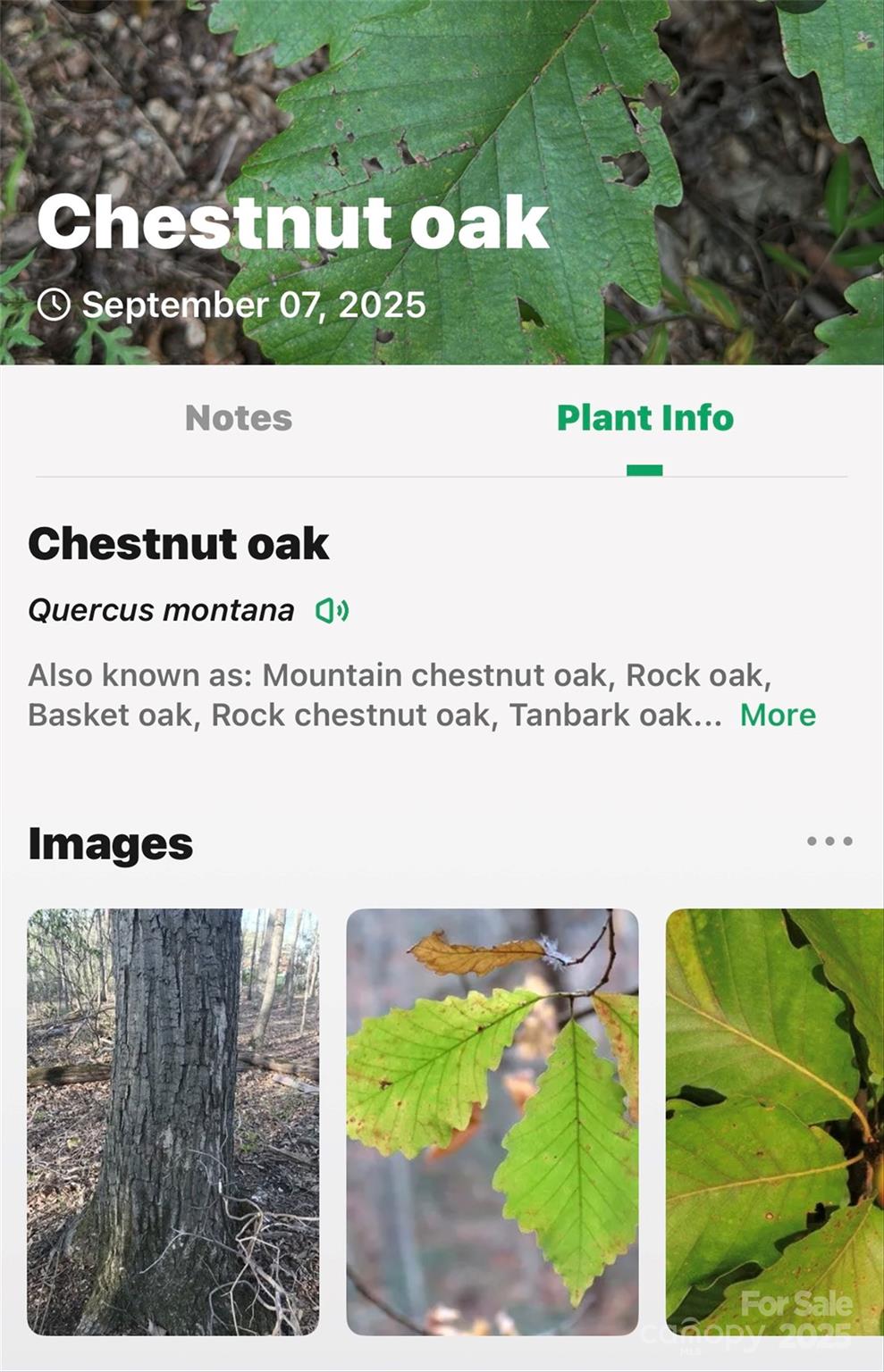 1696 Catawba Falls Parkway 190 Property Photo 27