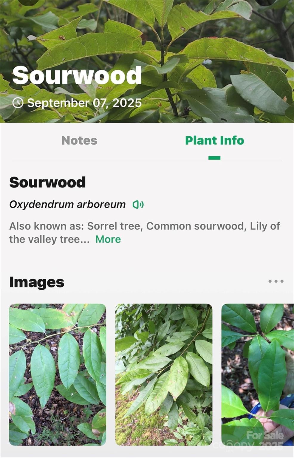 1696 Catawba Falls Parkway 190 Property Photo 28
