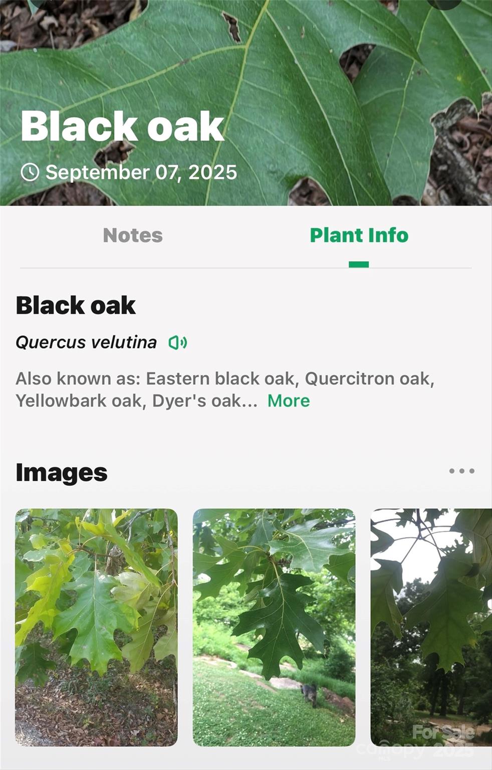 1696 Catawba Falls Parkway 190 Property Photo 29