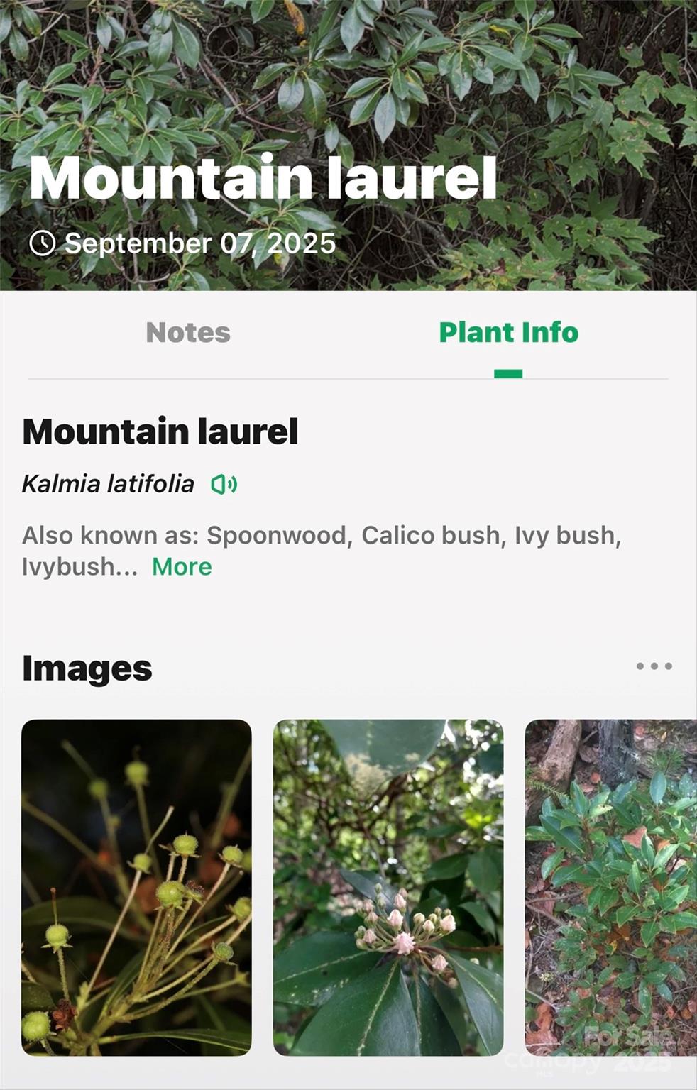 1696 Catawba Falls Parkway 190 Property Photo 30