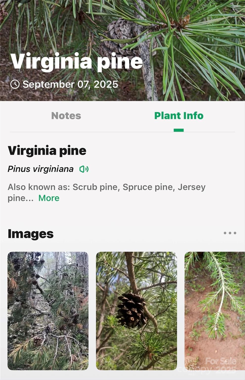 1696 Catawba Falls Parkway 190 Property Photo 32