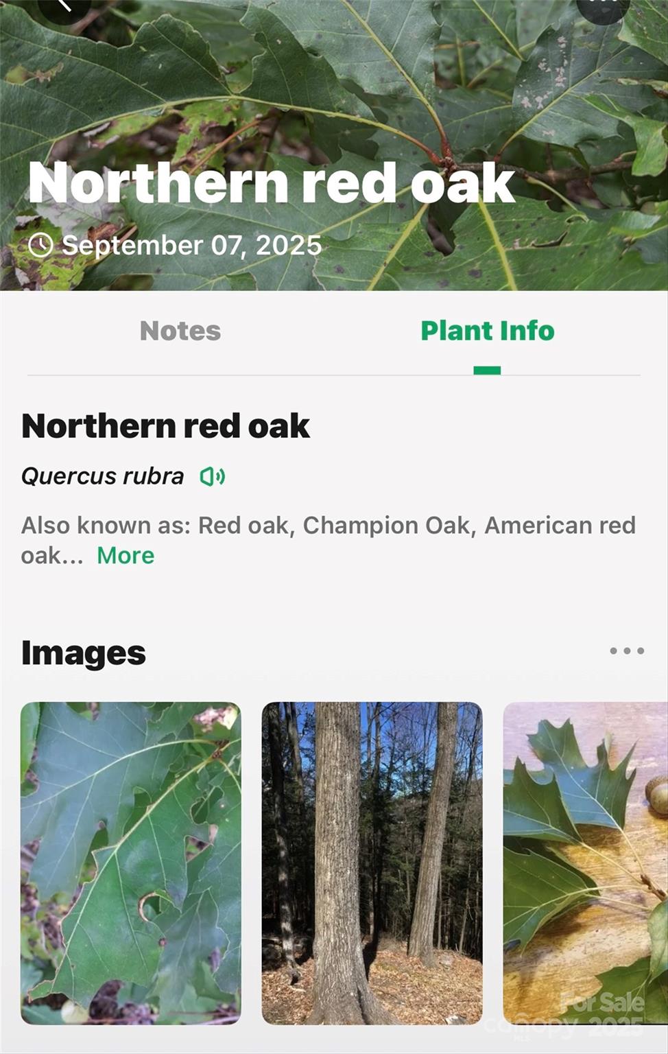 1696 Catawba Falls Parkway 190 Property Photo 34