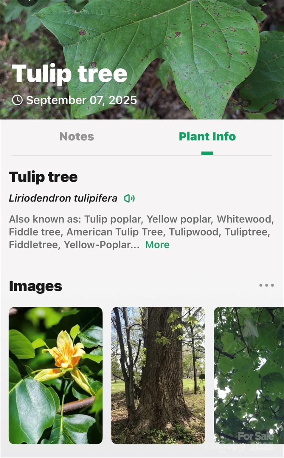 1696 Catawba Falls Parkway 190 Property Photo 35