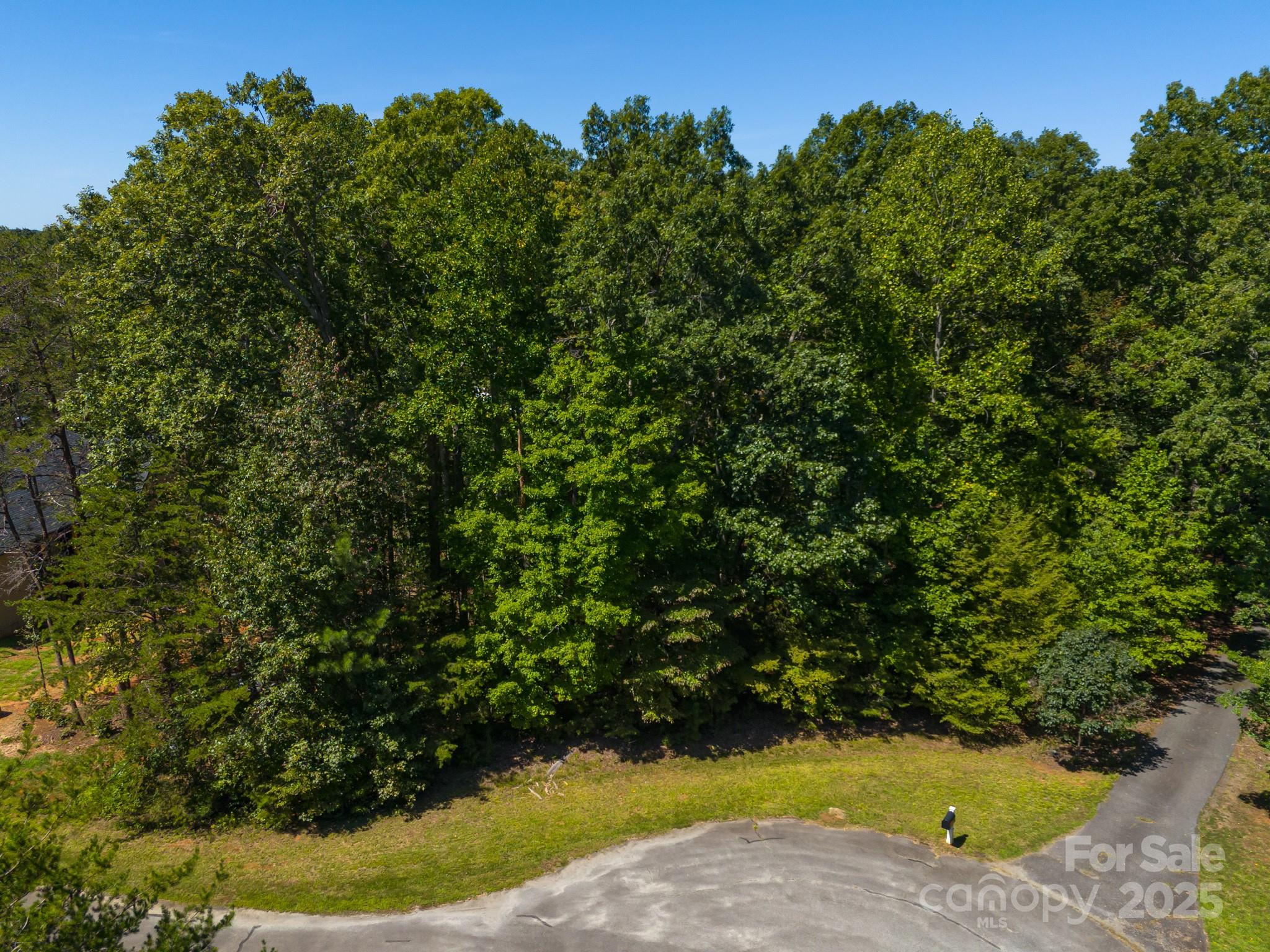 Lot #42 Sardis Court Property Photo 4