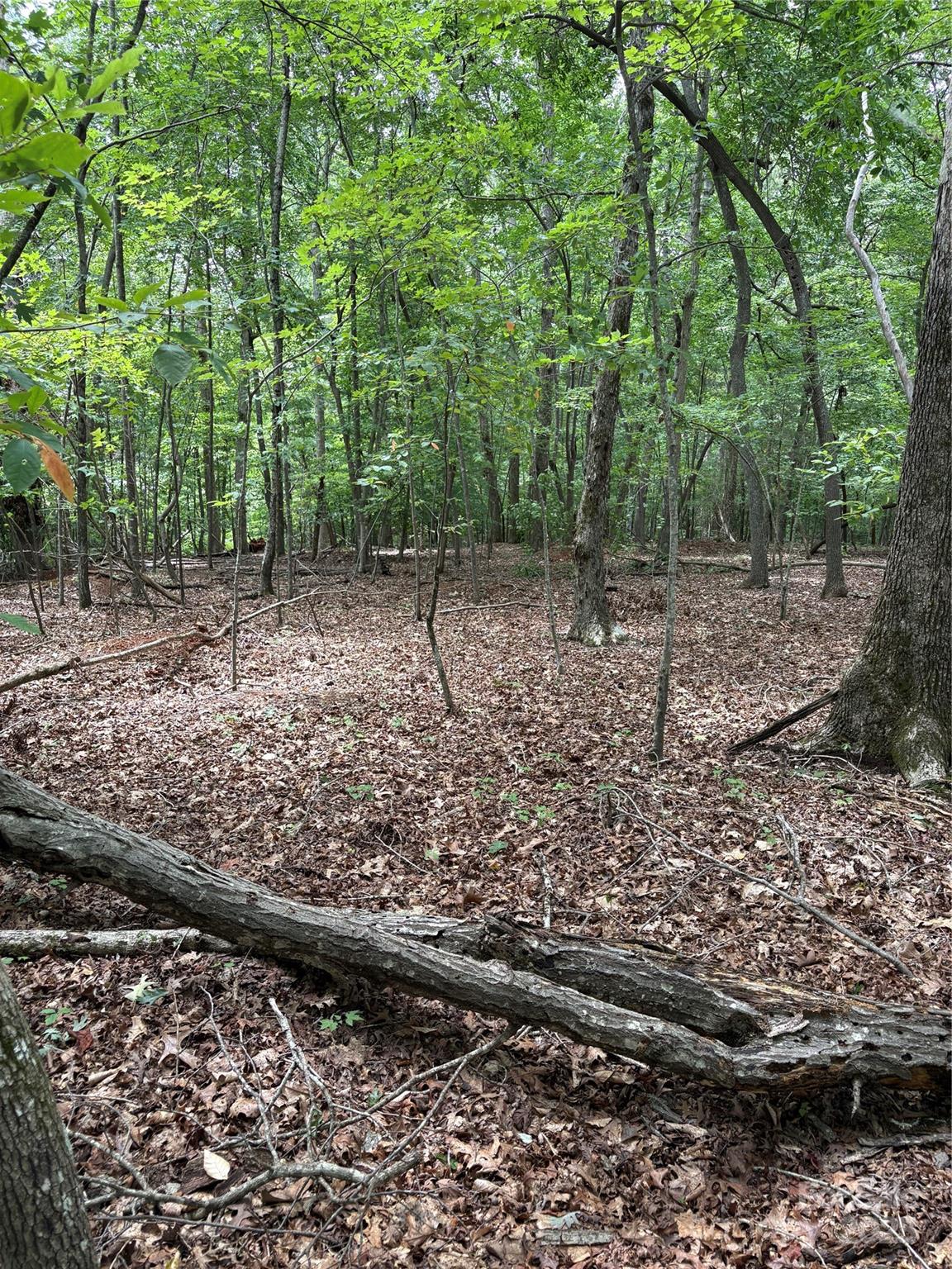 Lot #42 Sardis Court Property Photo 6