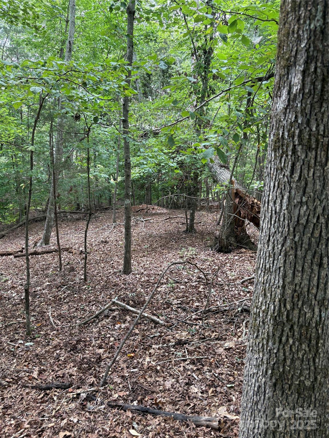 Lot #42 Sardis Court Property Photo 7