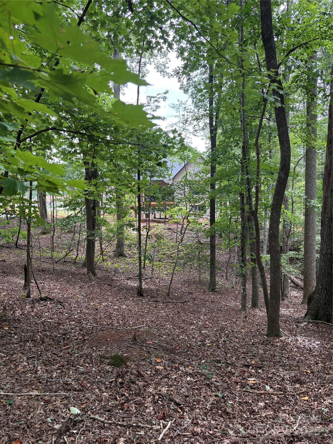 Lot #42 Sardis Court Property Photo 8