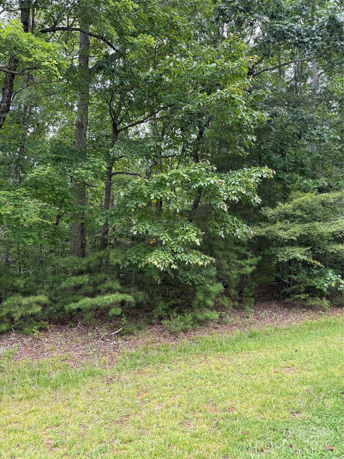 Lot #42 Sardis Court Property Photo 9