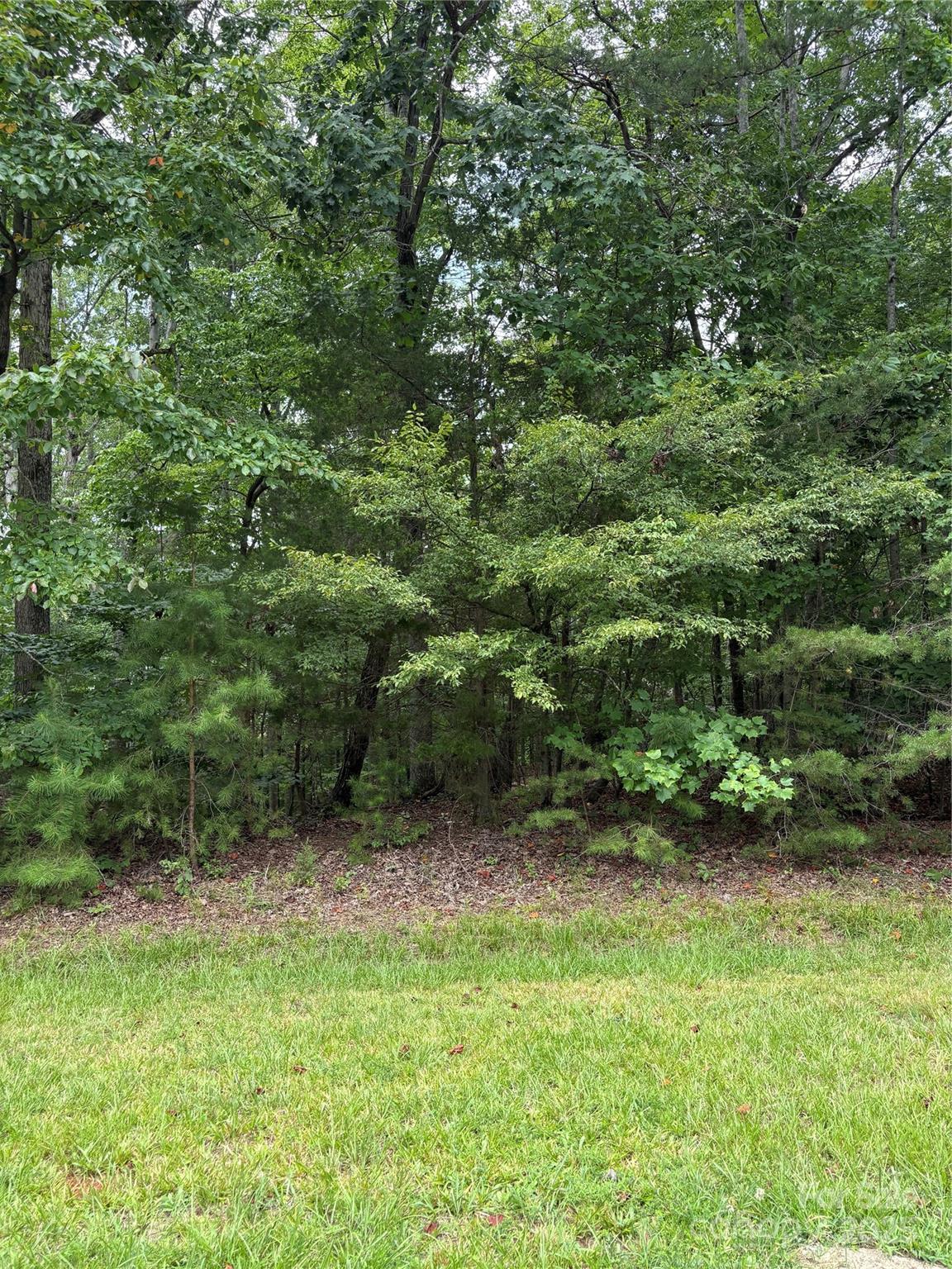 Lot #42 Sardis Court Property Photo 10