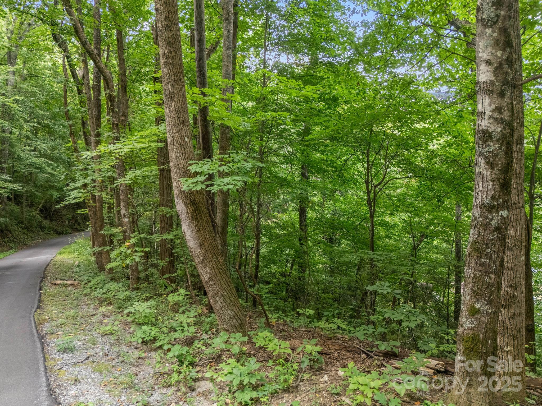 00 Mistletoe Park Property Photo 1