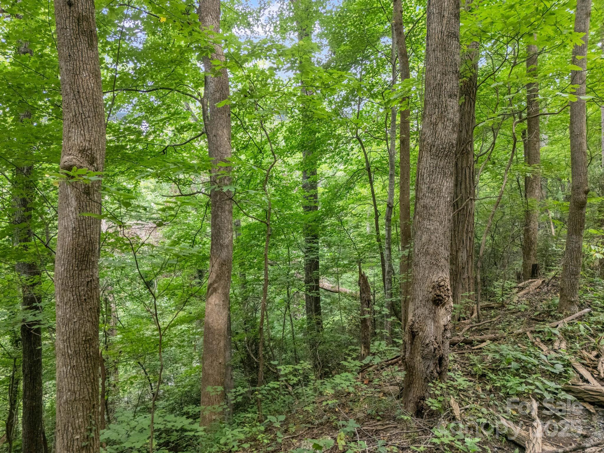 00 Mistletoe Park Property Photo 2