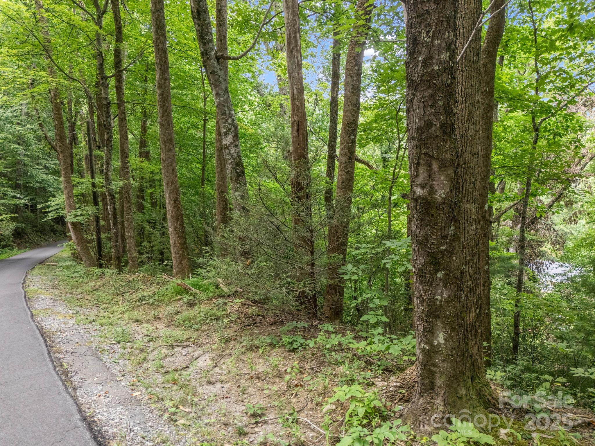 00 Mistletoe Park Property Photo 3