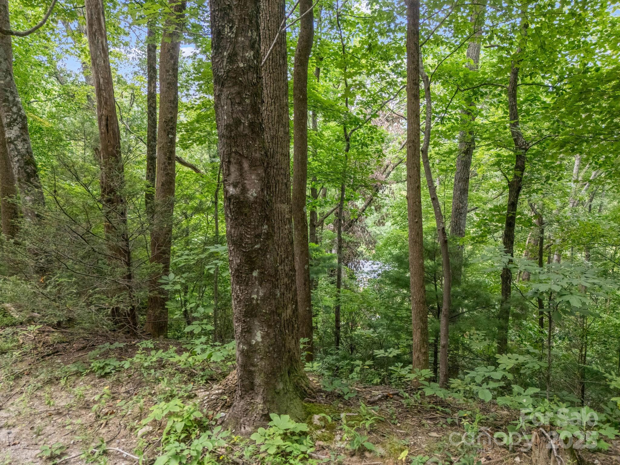 00 Mistletoe Park Property Photo 4