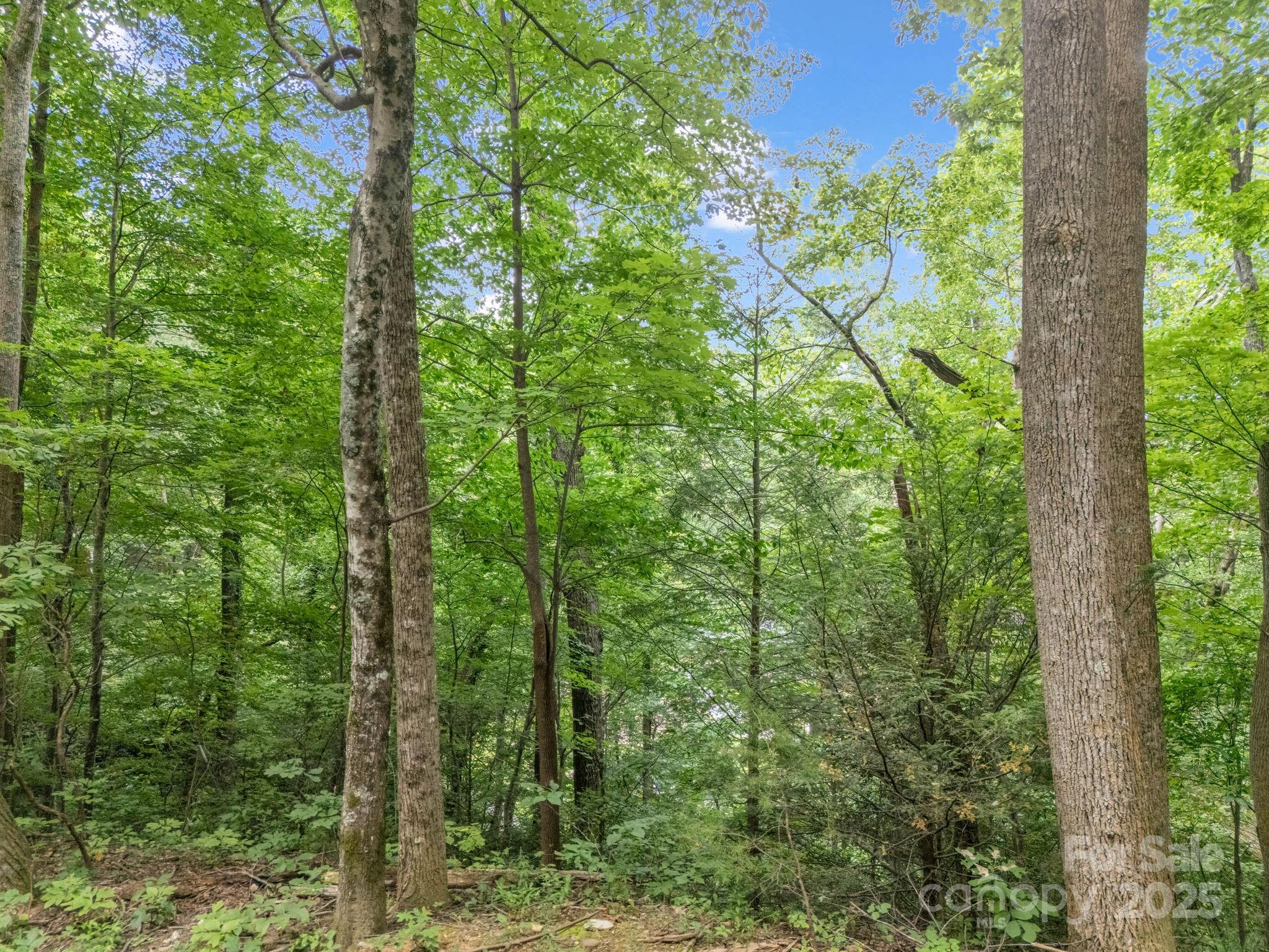 00 Mistletoe Park Property Photo 11