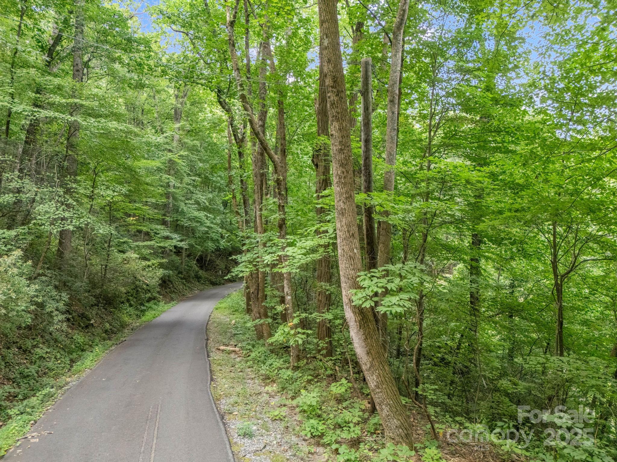 00 Mistletoe Park Property Photo 12