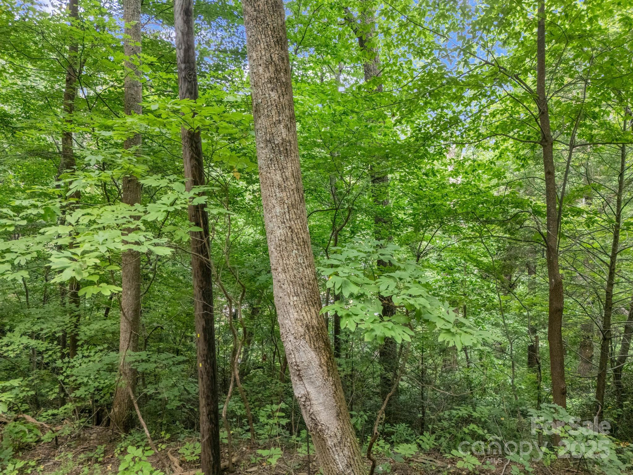 00 Mistletoe Park Property Photo 13