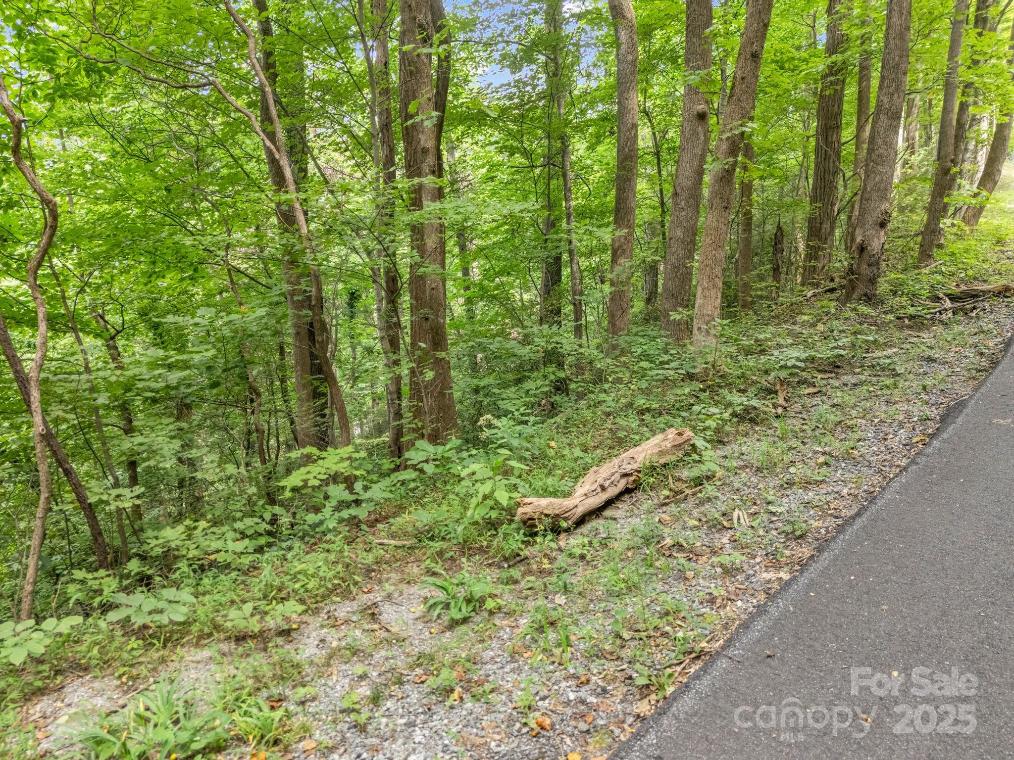 00 Mistletoe Park Property Photo 14