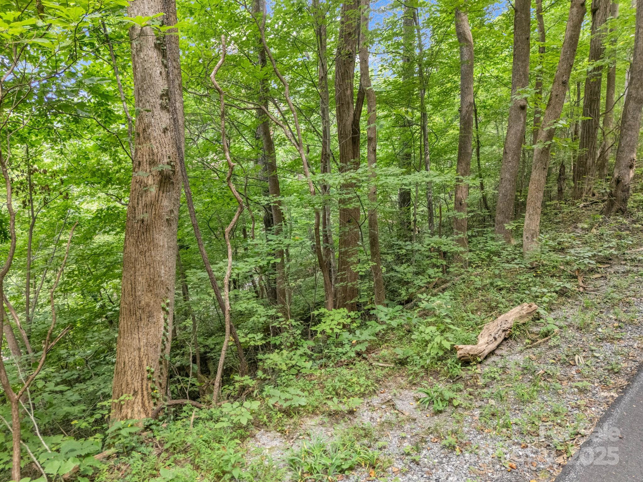 00 Mistletoe Park Property Photo 15