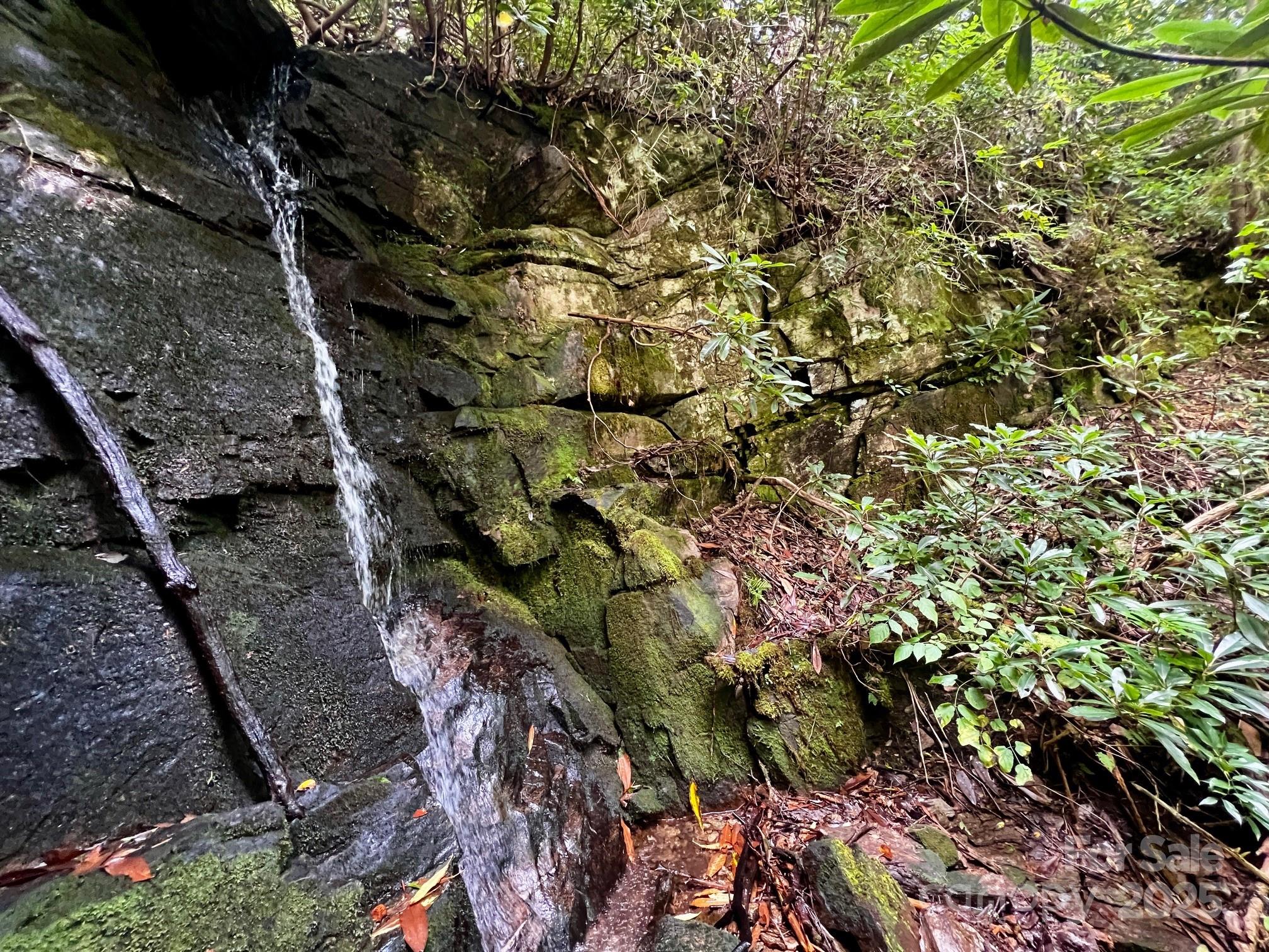Lot 11 Silver Maple Trail Property Photo 3