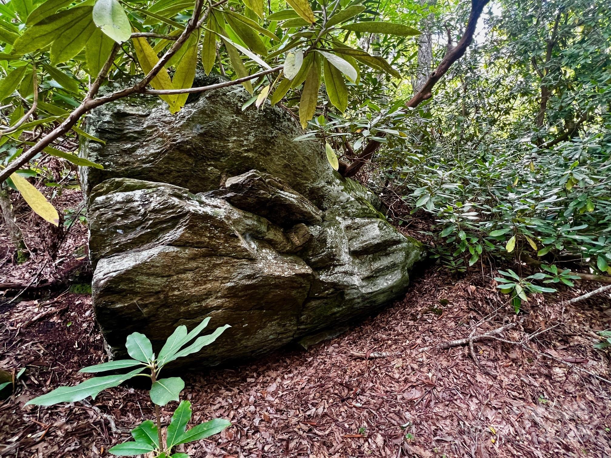 Lot 11 Silver Maple Trail Property Photo 6