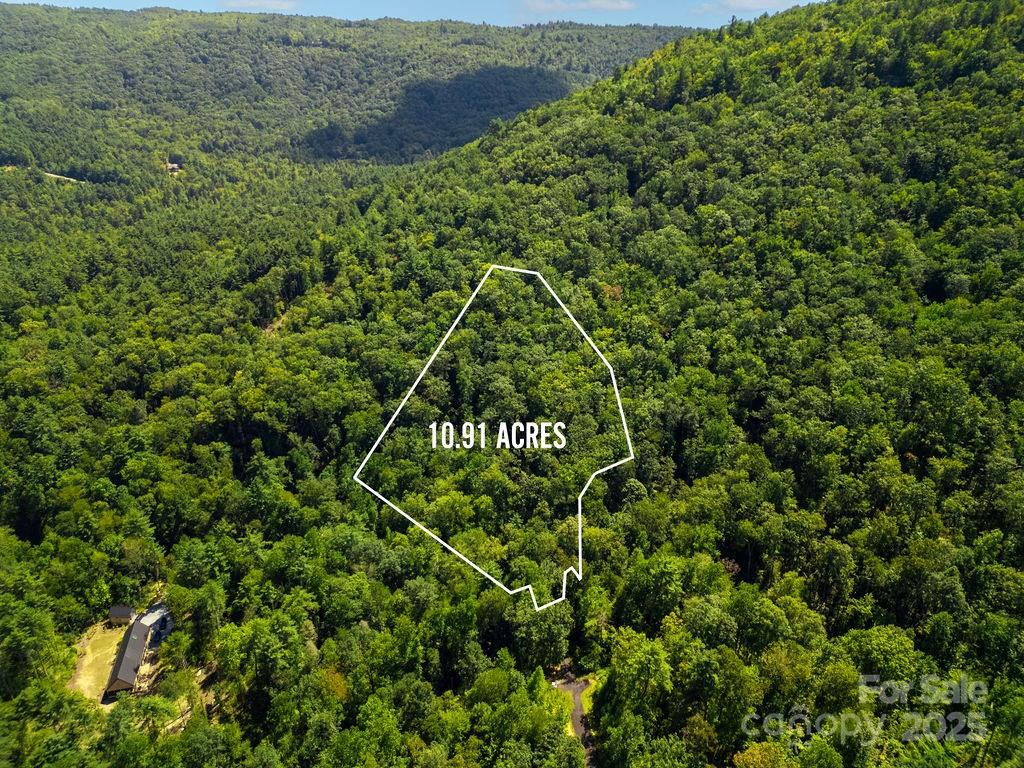 Lot 11 Silver Maple Trail Property Photo 7