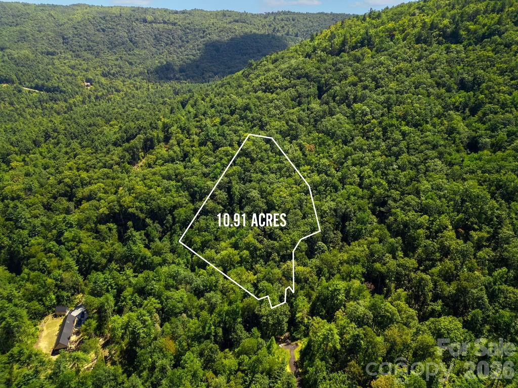 Lot 11 Silver Maple Trail Property Photo 7