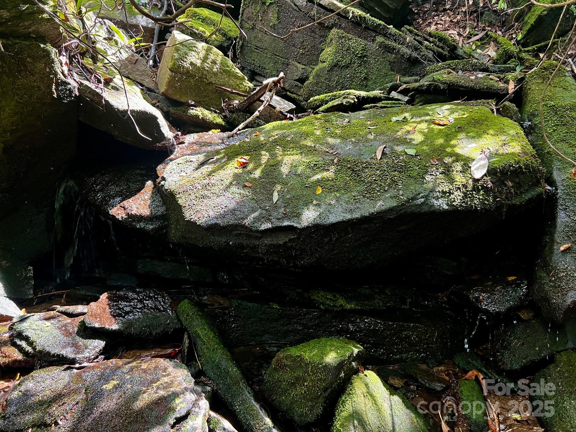 Lot 11 Silver Maple Trail Property Photo 9