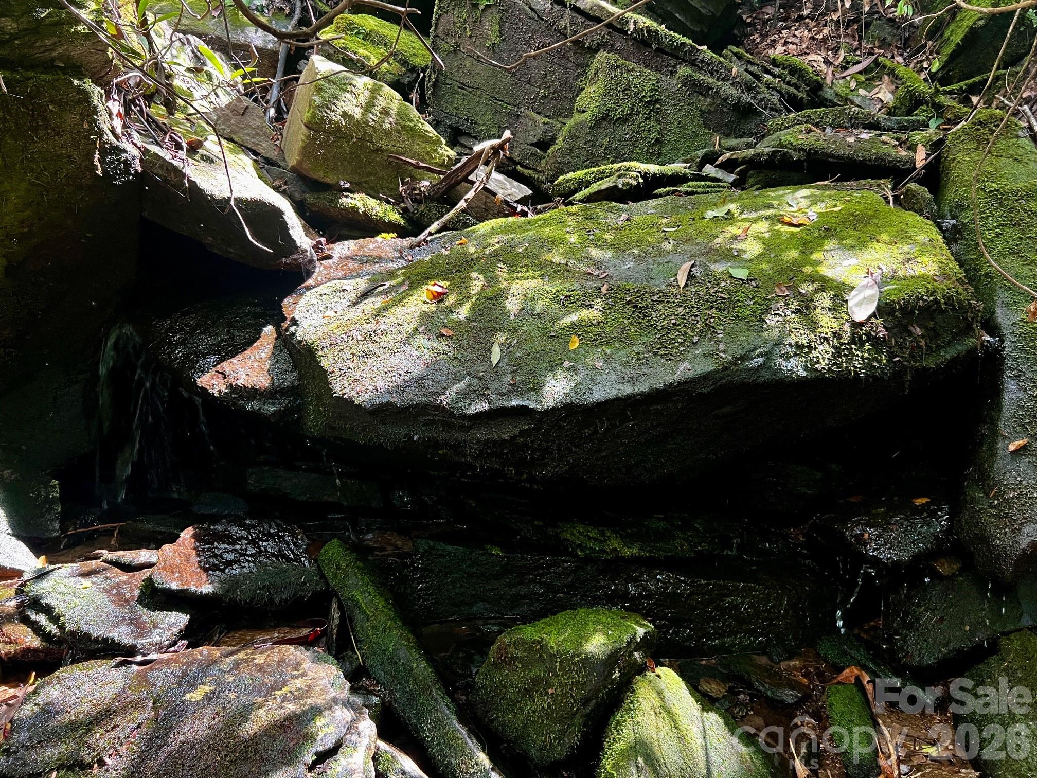 Lot 11 Silver Maple Trail Property Photo 9