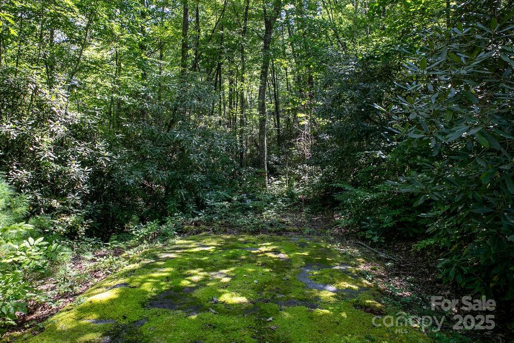 Lot 11 Silver Maple Trail Property Photo 10