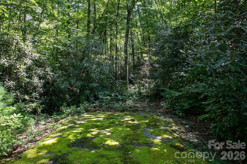Lot 11 Silver Maple Trail Property Photo 10