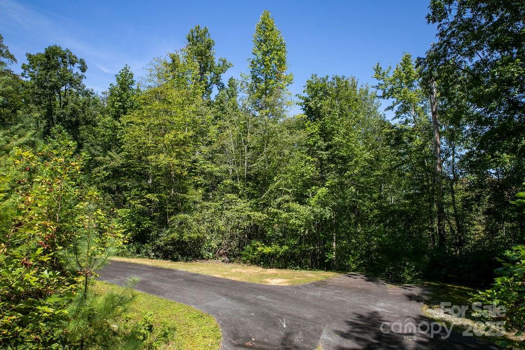 Lot 11 Silver Maple Trail Property Photo 11
