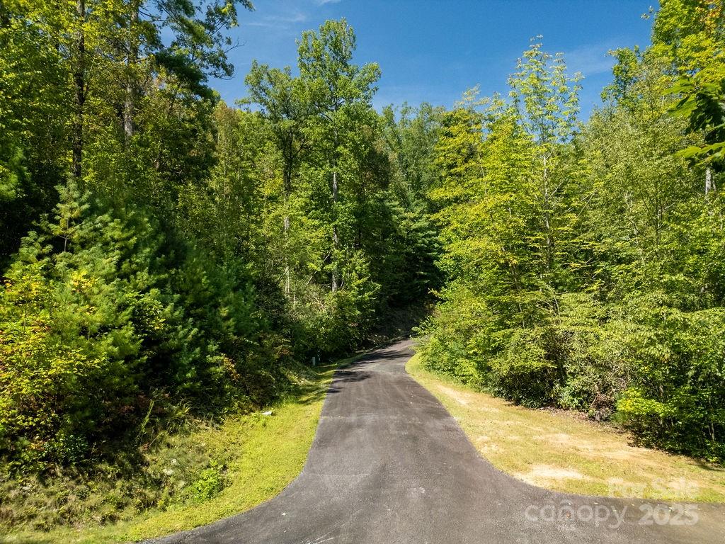 Lot 11 Silver Maple Trail Property Photo 12