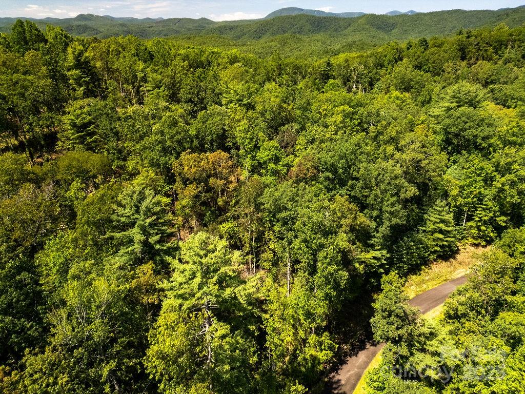 Lot 11 Silver Maple Trail Property Photo 13