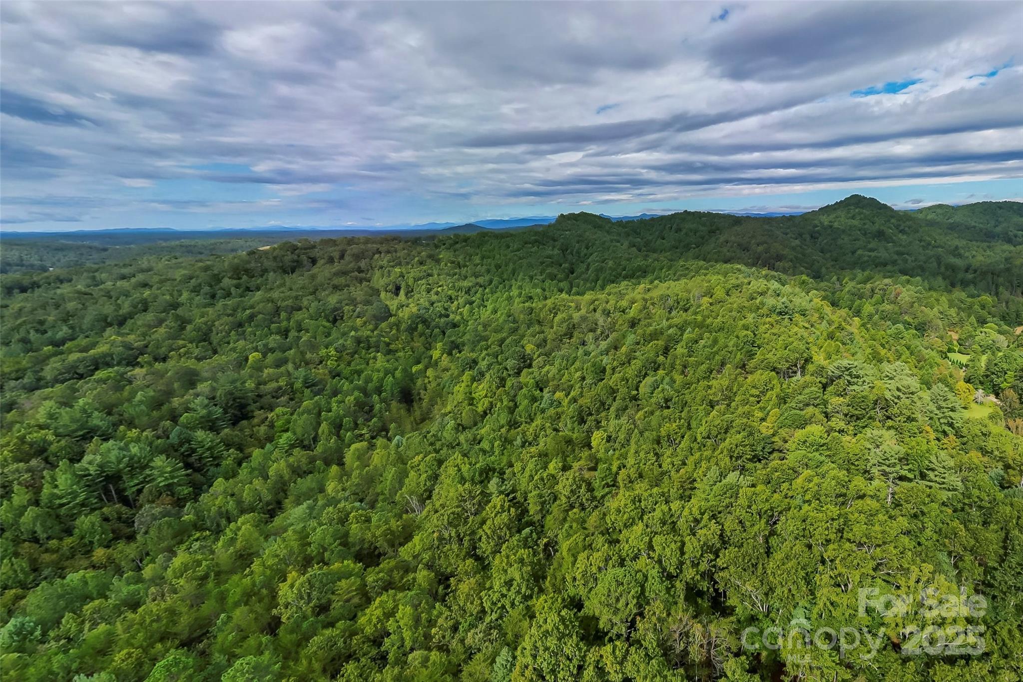 2636 Cheraw Road Property Photo 4