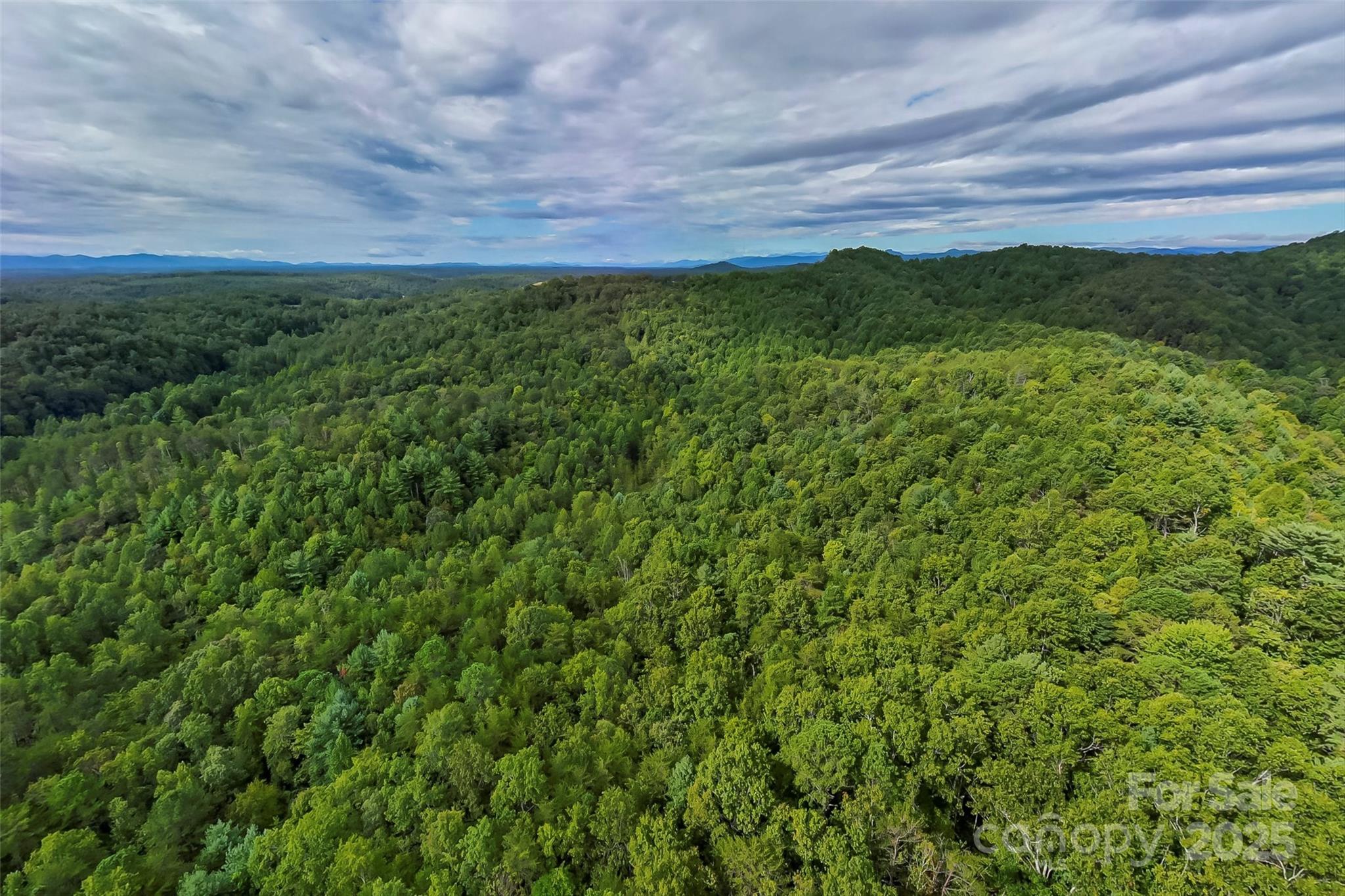 2636 Cheraw Road Property Photo 6